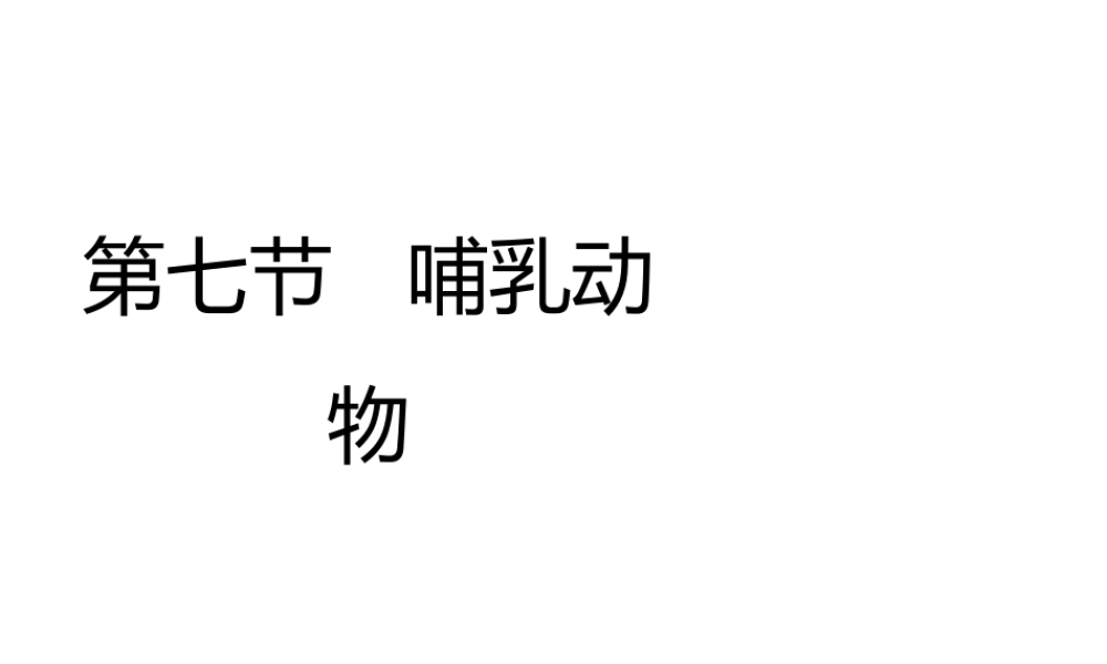 八年级生物上册 5.1.7 哺乳动物教学课件 （新版）新人教版-（新版）新人教版初中八年级上册生物课件