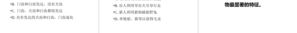 八年级生物上册 5.1.7 哺乳动物教学课件 （新版）新人教版-（新版）新人教版初中八年级上册生物课件