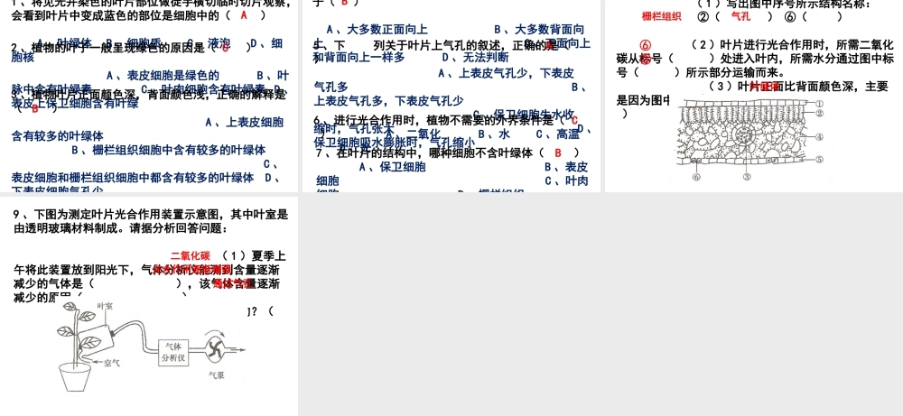 八年级生物上册 第3单元 第3章 第3节 光合作用的场所课件 （新版）冀教版-（新版）冀教级上册生物课件