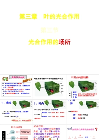 八年级生物上册 第3单元 第3章 第3节 光合作用的场所课件 （新版）冀教版-（新版）冀教级上册生物课件
