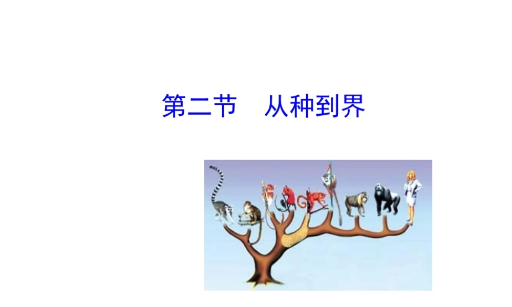 八年级生物上册 6.1.1 从种到界课件 （新版）新人教版