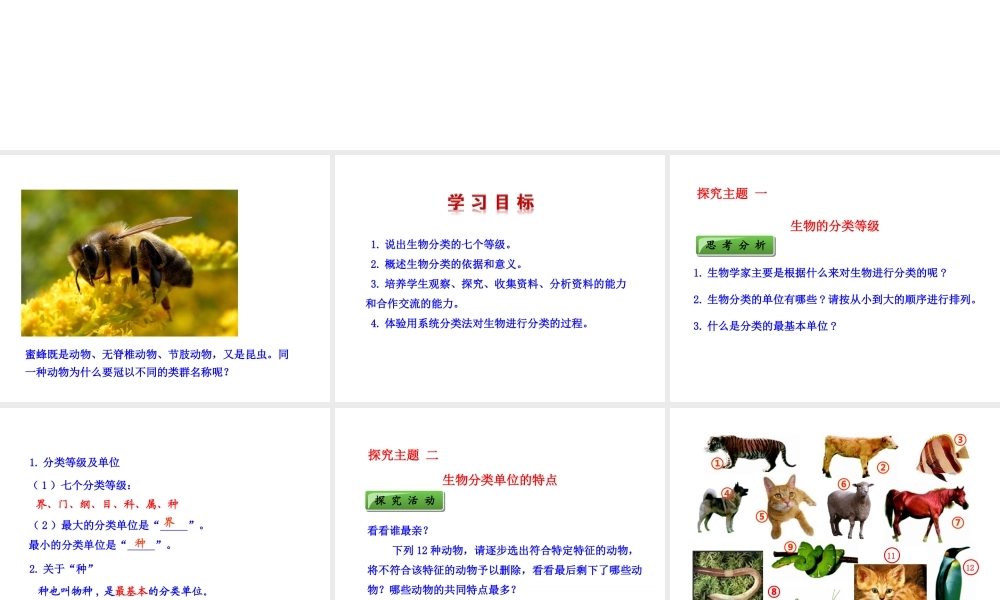 八年级生物上册 6.1.1 从种到界课件 （新版）新人教版