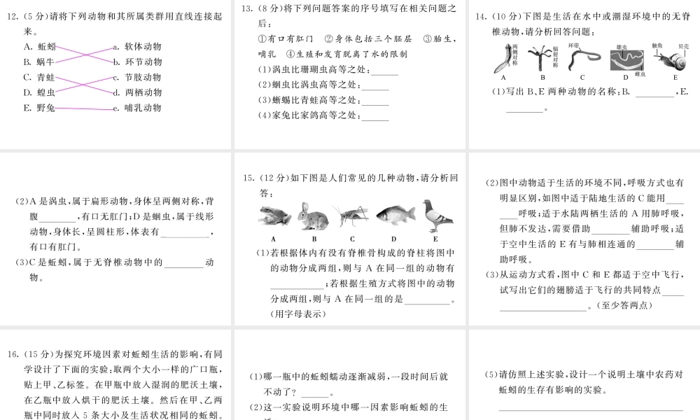 八年级生物上册 期末复习两周通 第五单元 第一章 动物的主要类群过关自测试习题课件 （新版）新人教版-（新版）新人教级上册生物课件