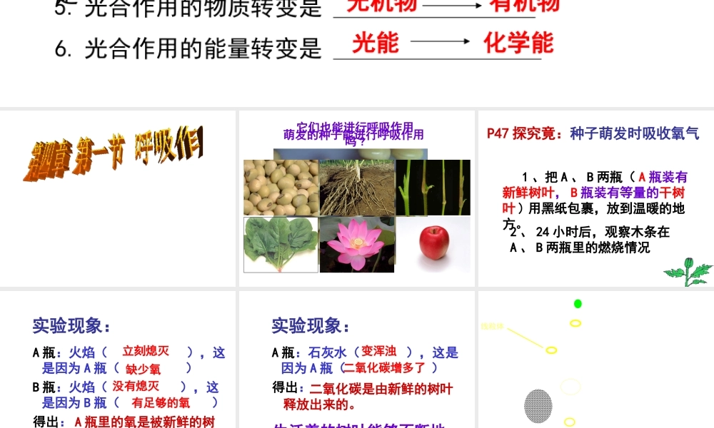 八年级生物上册 第3单元 第4章 第1节 呼吸作用课件 （新版）冀教版-（新版）冀教版初中八年级上册生物课件