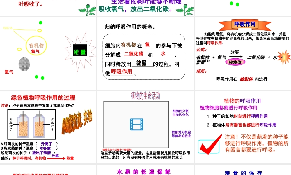 八年级生物上册 第3单元 第4章 第1节 呼吸作用课件 （新版）冀教版-（新版）冀教版初中八年级上册生物课件