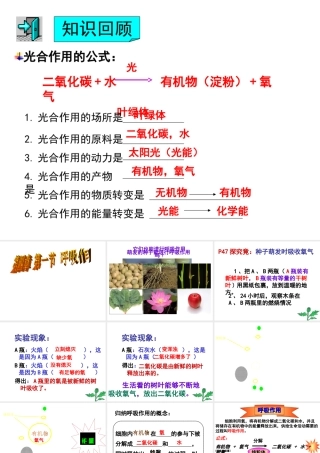 八年级生物上册 第3单元 第4章 第1节 呼吸作用课件 （新版）冀教版-（新版）冀教版初中八年级上册生物课件