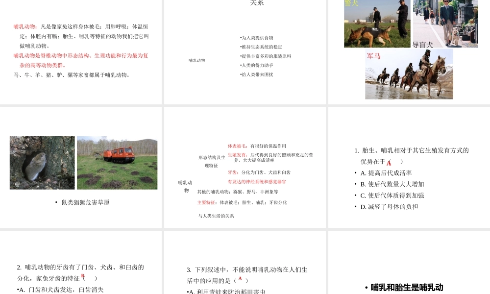 八年级生物上册 5.1.7 哺乳动物教学课件 （新版）新人教版-（新版）新人教级上册生物课件