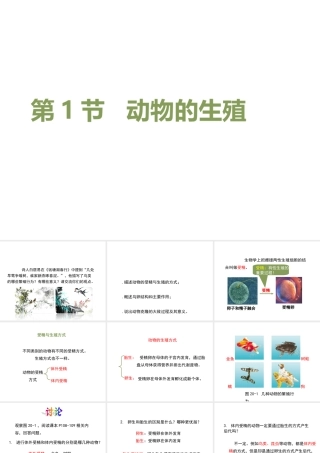 八年级生物上册 7.20.1 动物的生殖课件 （新版）苏科版-（新版）苏科版初中八年级上册生物课件
