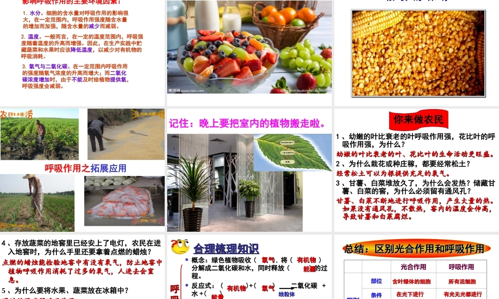 八年级生物上册 第3单元 第4章 第1节 呼吸作用课件 （新版）冀教版-（新版）冀教级上册生物课件