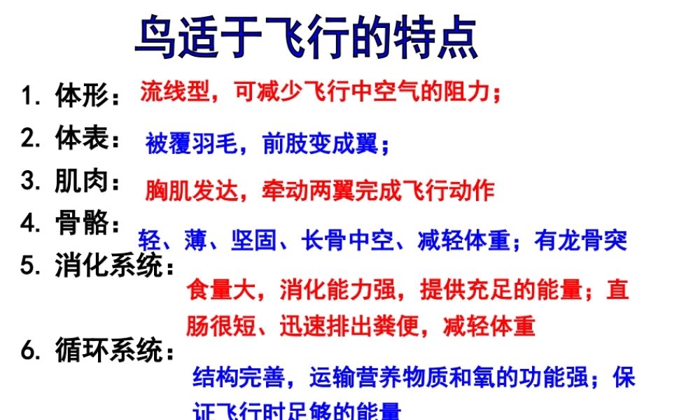 八年级生物上册 5.1.7 哺乳动物课件 （新版）新人教版-（新版）新人教版初中八年级上册生物课件