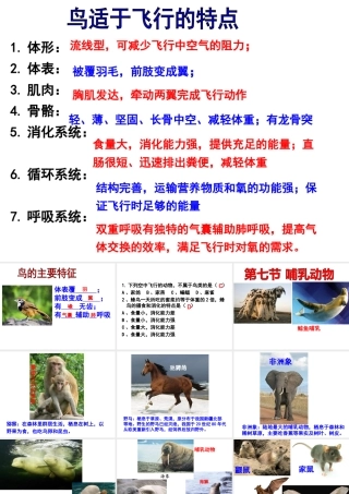 八年级生物上册 5.1.7 哺乳动物课件 （新版）新人教版-（新版）新人教版初中八年级上册生物课件