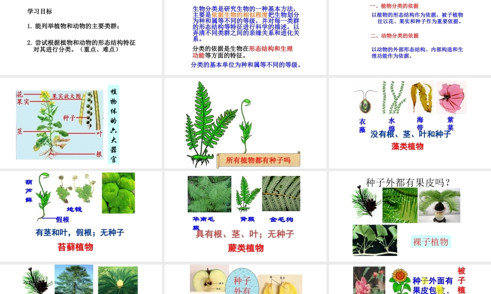 八年级生物上册 6.1.1 根据生物的特征进行分类课件 新人教版-新人教级上册生物课件