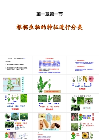 八年级生物上册 6.1.1 根据生物的特征进行分类课件 新人教版-新人教级上册生物课件