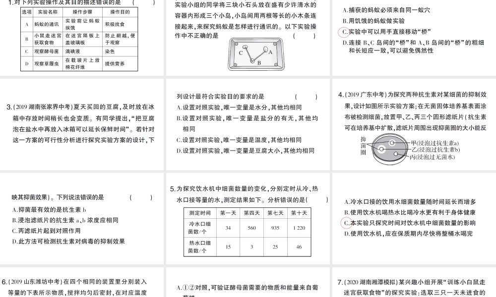 八年级生物上册 期末复习专题三 实验探究题课件 （新版）新人教版-（新版）新人教版初中八年级上册生物课件