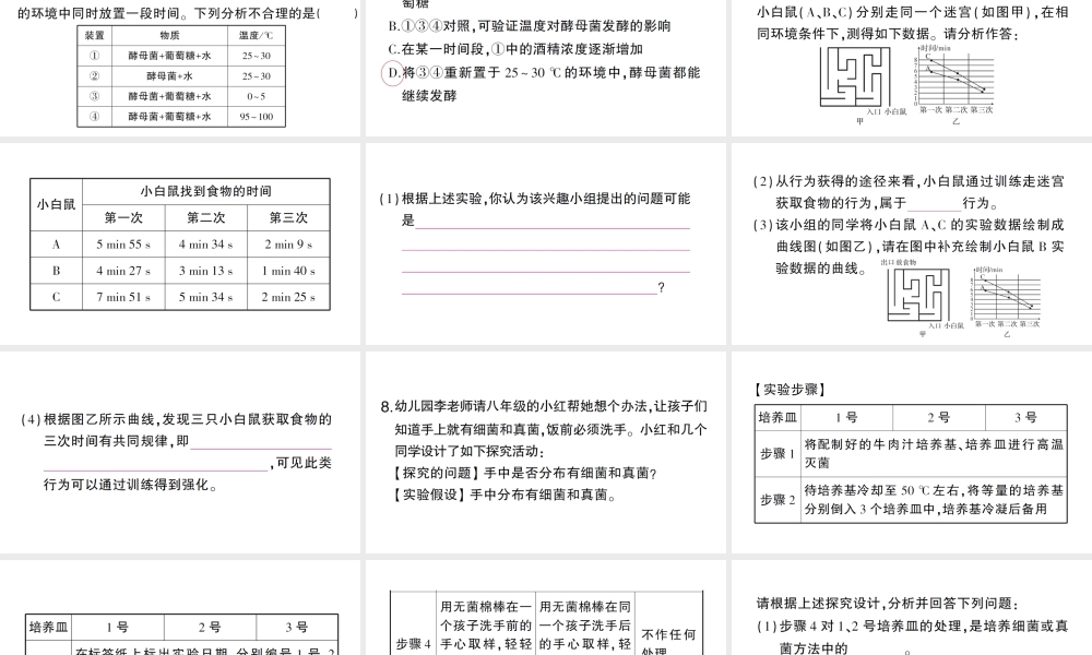 八年级生物上册 期末复习专题三 实验探究题课件 （新版）新人教版-（新版）新人教版初中八年级上册生物课件