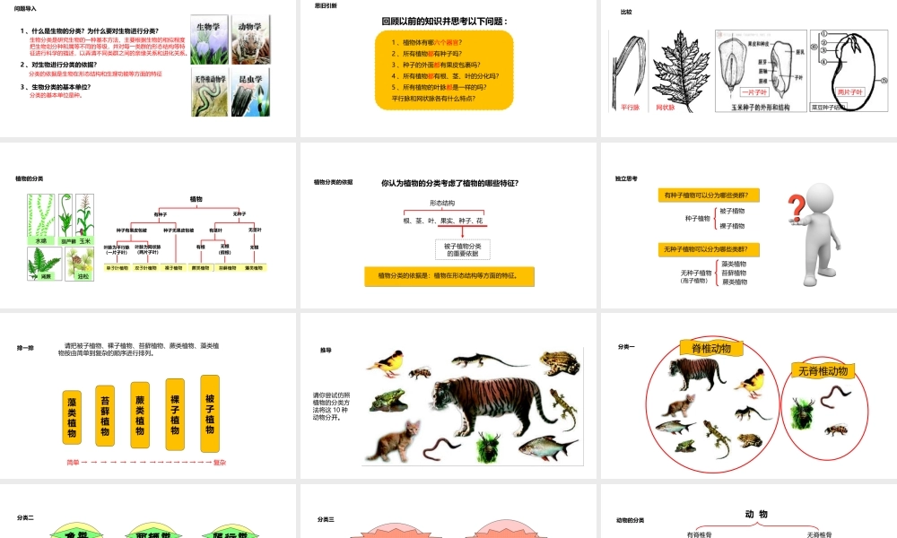 八年级生物上册 6.1.1《尝试对生物进行分类》教学课件 （新版）新人教版-（新版）新人教版初中八年级上册生物课件