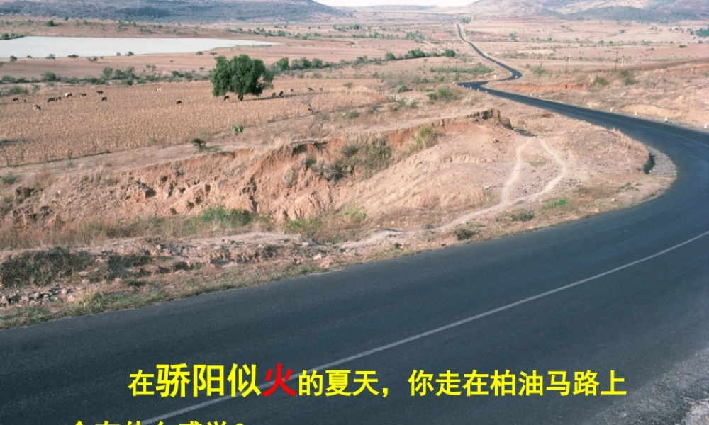 八年级生物上册 第3单元 第4章 第2节 蒸腾作用课件 （新版）冀教版-（新版）冀教级上册生物课件