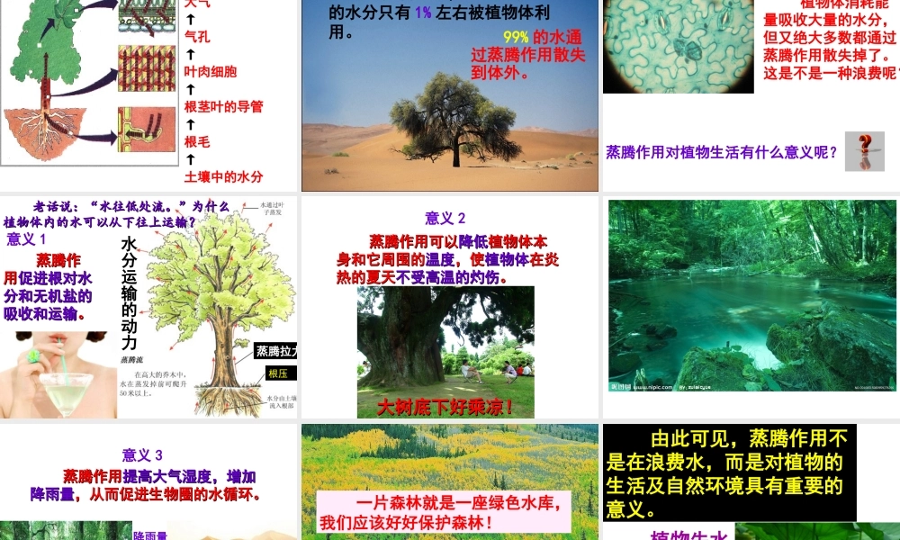 八年级生物上册 第3单元 第4章 第2节 蒸腾作用课件 （新版）冀教版-（新版）冀教级上册生物课件