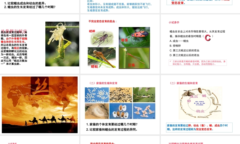 八年级生物上册 6.19.2 动物的生殖和发育课件 北师大版-北师大版初中八年级上册生物课件