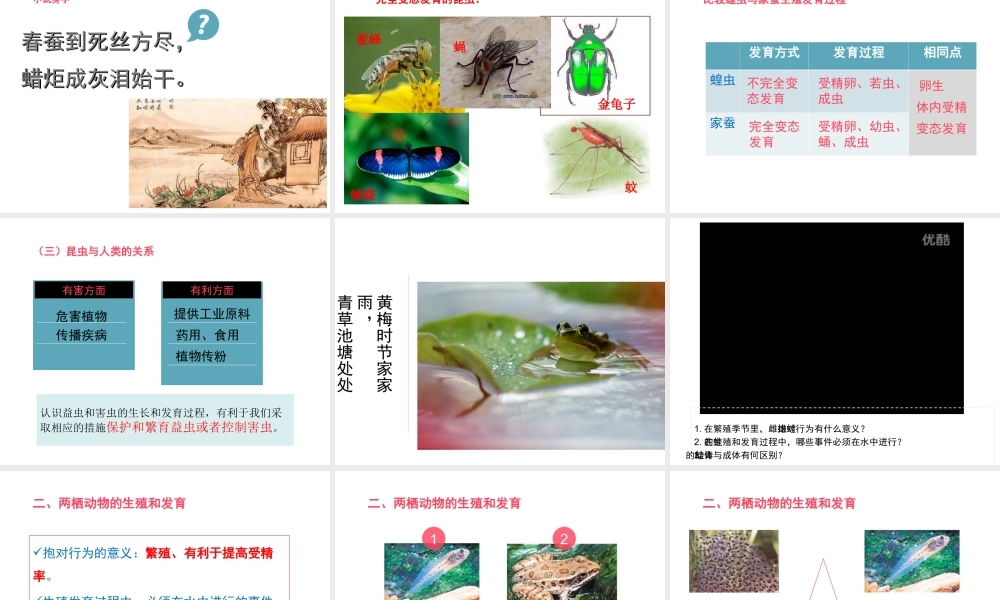 八年级生物上册 6.19.2 动物的生殖和发育课件 北师大版-北师大版初中八年级上册生物课件