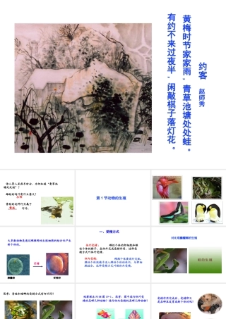 八年级生物上册 7.20.1《动物的生殖》课件 （新版）苏科版-（新版）苏科版初中八年级上册生物课件