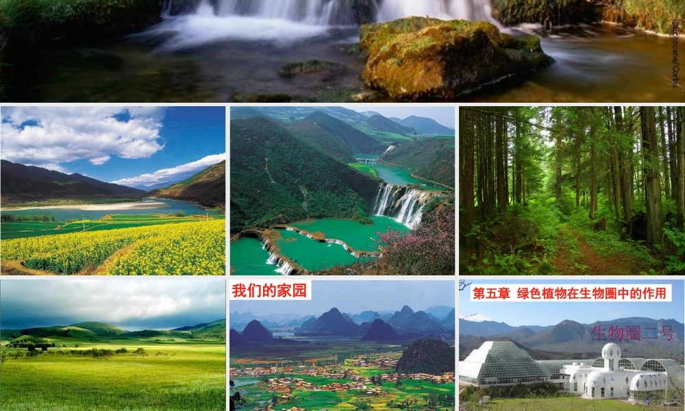 八年级生物上册 第3单元 第5章 绿色植物在生物圈中的作用课件 （新版）冀教版-（新版）冀教版初中八年级上册生物课件