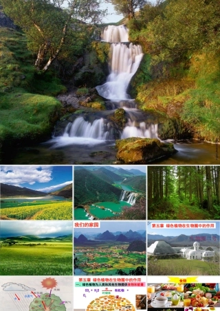 八年级生物上册 第3单元 第5章 绿色植物在生物圈中的作用课件 （新版）冀教版-（新版）冀教版初中八年级上册生物课件