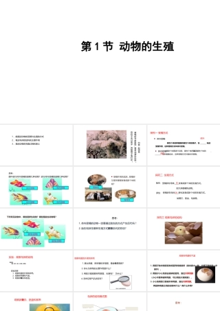 八年级生物上册 7.20.1动物的生殖课件 （新版）苏科版-（新版）苏科版初中八年级上册生物课件