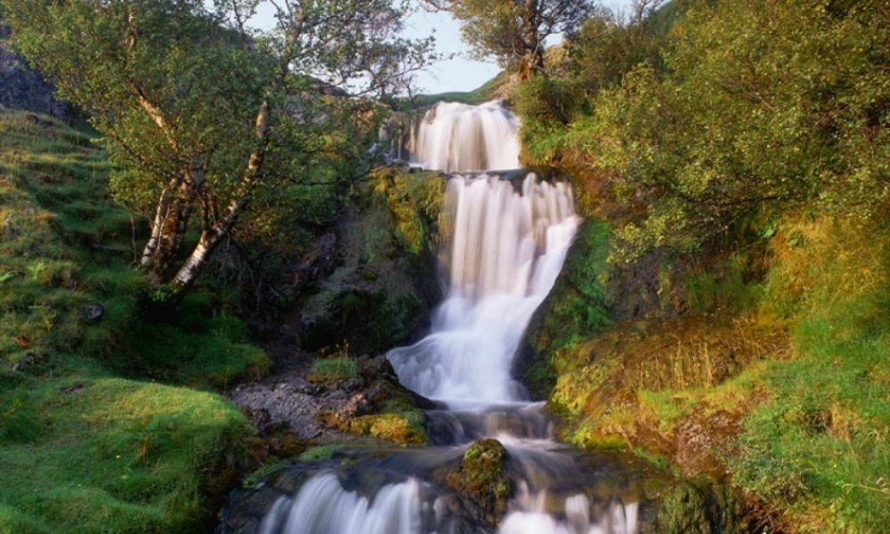 八年级生物上册 第3单元 第5章 绿色植物在生物圈中的作用课件 （新版）冀教版-（新版）冀教级上册生物课件