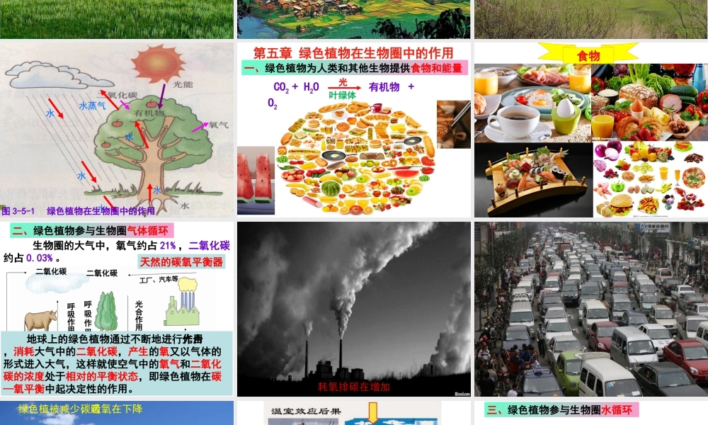 八年级生物上册 第3单元 第5章 绿色植物在生物圈中的作用课件 （新版）冀教版-（新版）冀教级上册生物课件