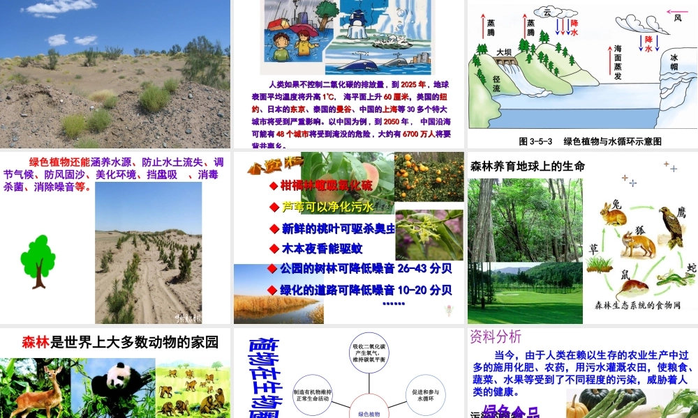 八年级生物上册 第3单元 第5章 绿色植物在生物圈中的作用课件 （新版）冀教版-（新版）冀教级上册生物课件