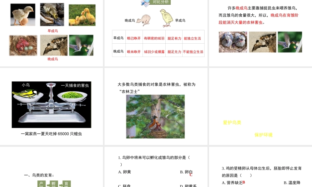 八年级生物上册 7.20.2《动物的发育》第1课时课件 （新版）苏科版-（新版）苏科版初中八年级上册生物课件