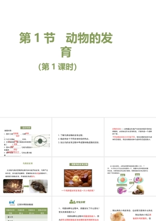 八年级生物上册 7.20.2《动物的发育》第1课时课件 （新版）苏科版-（新版）苏科版初中八年级上册生物课件