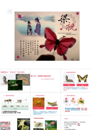 八年级生物上册 6.19.2 动物的生殖和发育课件 北师大版-北师大级上册生物课件