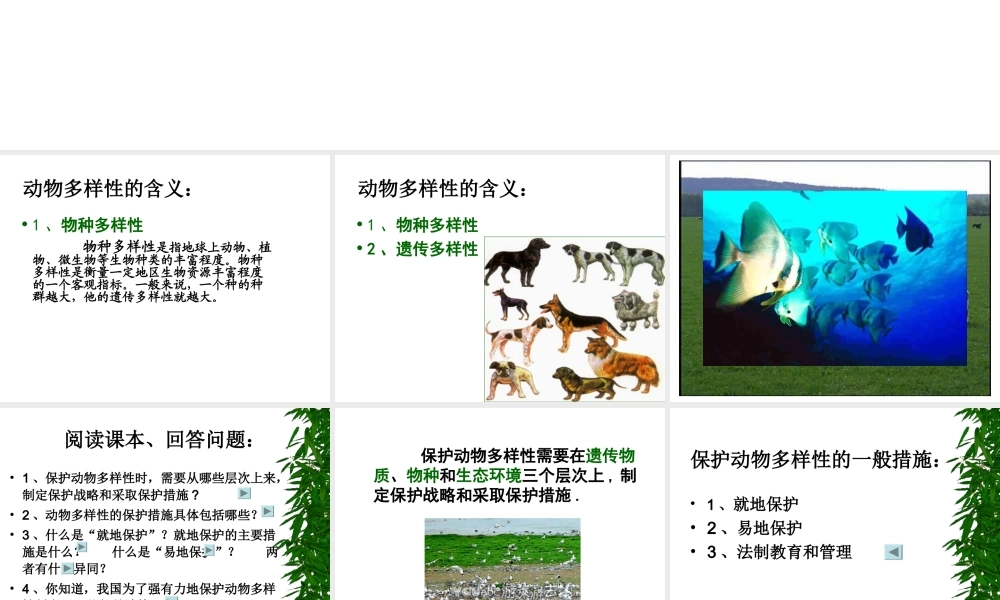 八年级生物上册 第3节 我国动物资源的保护课件 北师大版