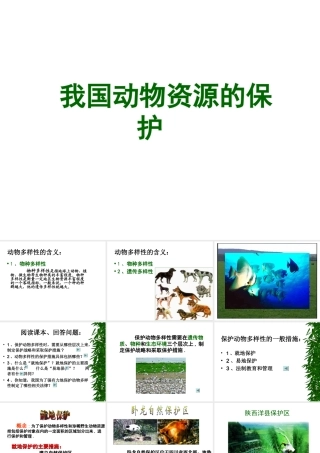 八年级生物上册 第3节 我国动物资源的保护课件 北师大版