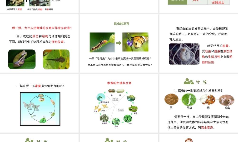 八年级生物上册 7.20.2《动物的发育》第2课时课件 （新版）苏科版-（新版）苏科版初中八年级上册生物课件