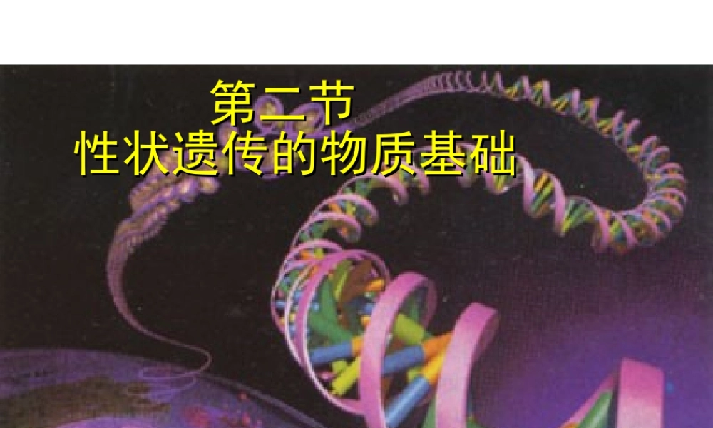 八年级生物上册 6.20.2 性状遗传的物质基础课件 北师大版