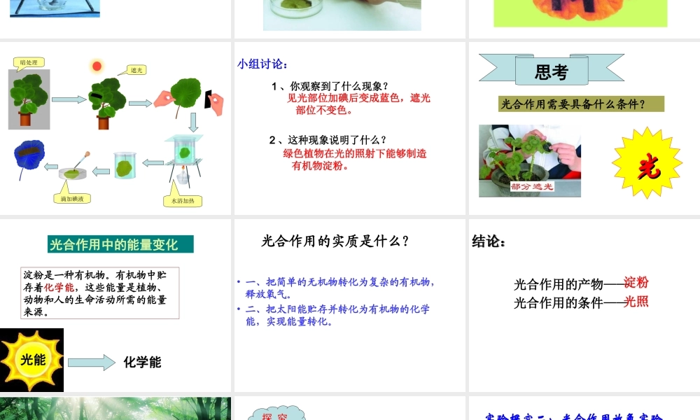 八年级生物上册 第3章 第1节 光合作用的产物课件 （新版）冀教版-（新版）冀教版初中八年级上册生物课件