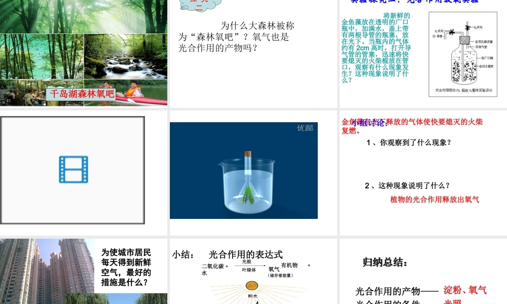 八年级生物上册 第3章 第1节 光合作用的产物课件 （新版）冀教版-（新版）冀教版初中八年级上册生物课件