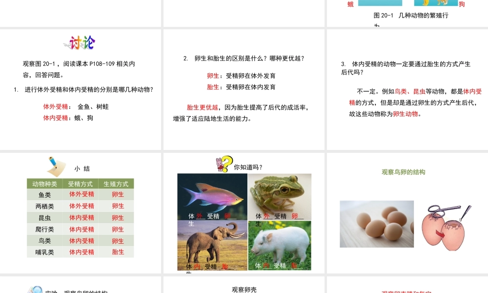 八年级生物上册 7. 动物的生殖课件 （新版）苏科版-（新版）苏科级上册生物课件