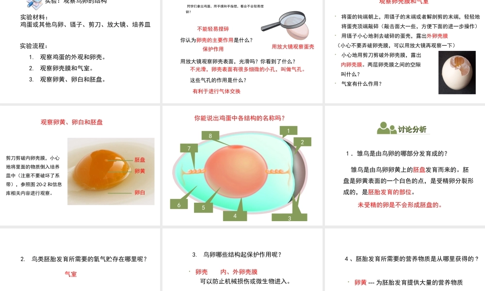 八年级生物上册 7. 动物的生殖课件 （新版）苏科版-（新版）苏科级上册生物课件