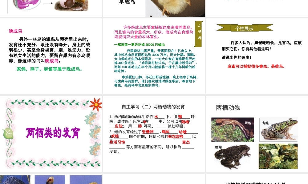 八年级生物上册 7.20.2《动物的发育》课件 （新版）苏科版-（新版）苏科版初中八年级上册生物课件