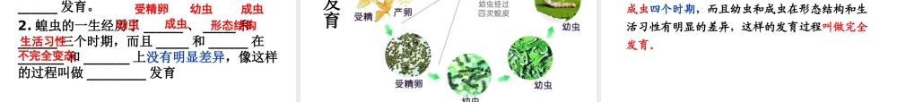 八年级生物上册 7.20.2《动物的发育》课件 （新版）苏科版-（新版）苏科版初中八年级上册生物课件