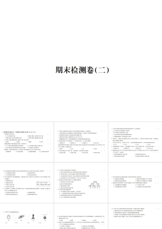 八年级生物上册 期末检测卷（二）课件 （新版）新人教版-（新版）新人教版初中八年级上册生物课件