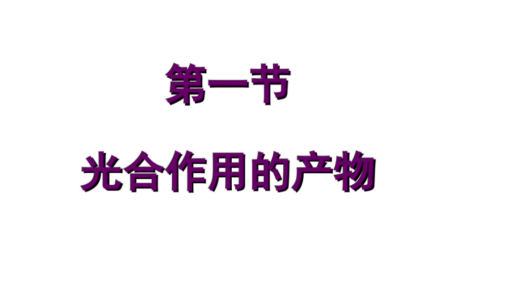 八年级生物上册 第3章 第1节 光合作用的产物课件1 （新版）冀教版-（新版）冀教版初中八年级上册生物课件
