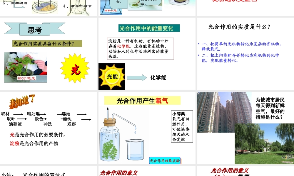 八年级生物上册 第3章 第1节 光合作用的产物课件1 （新版）冀教版-（新版）冀教版初中八年级上册生物课件