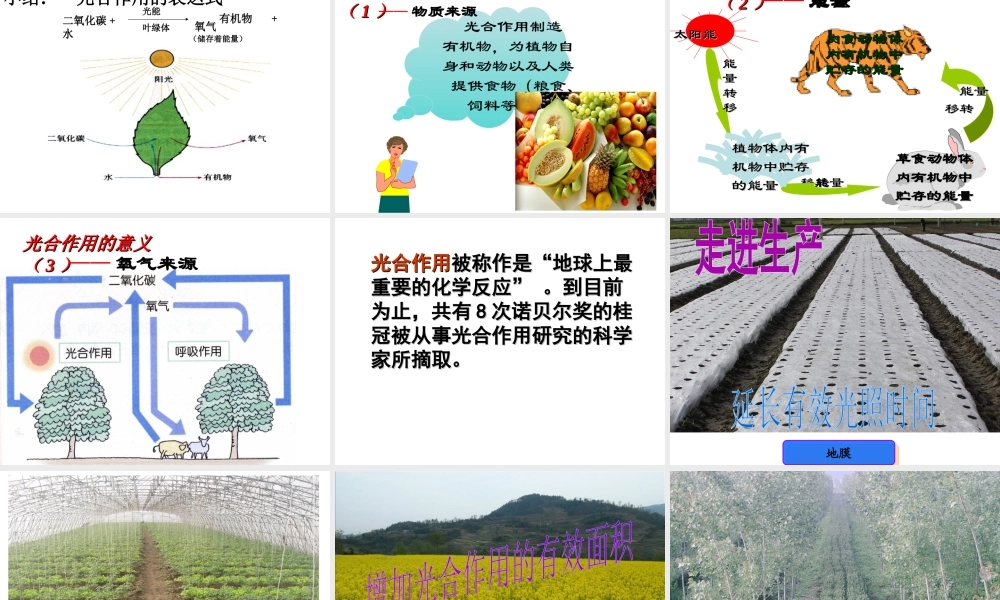 八年级生物上册 第3章 第1节 光合作用的产物课件1 （新版）冀教版-（新版）冀教版初中八年级上册生物课件