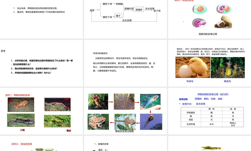 八年级生物上册 7.20.2动物的发育课件 （新版）苏科版-（新版）苏科版初中八年级上册生物课件