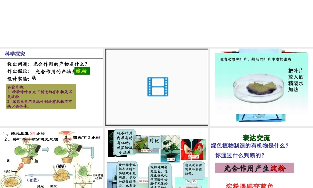 八年级生物上册 第3章 第1节 光合作用的产物课件1 （新版）冀教版-（新版）冀教级上册生物课件